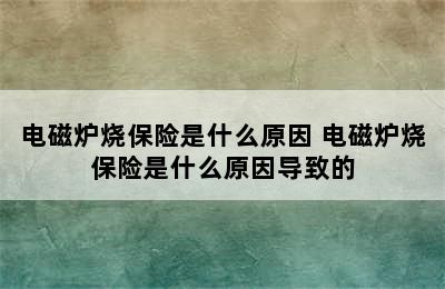 电磁炉烧保险是什么原因 电磁炉烧保险是什么原因导致的